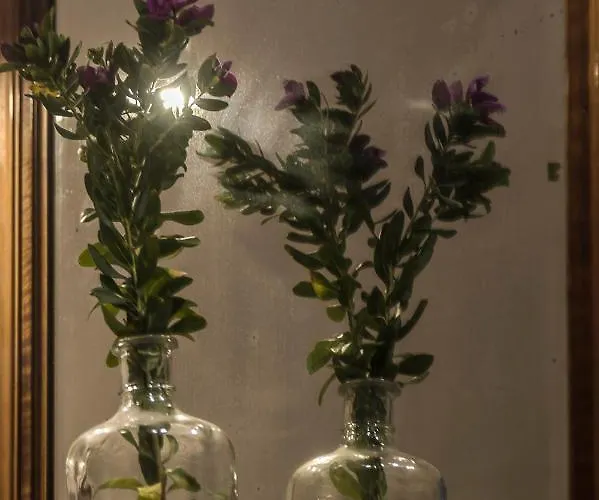 Lisetta בית הארחה 3*